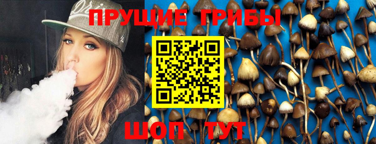 Псилоцибиновые грибы GOLDEN TEACHER Белово