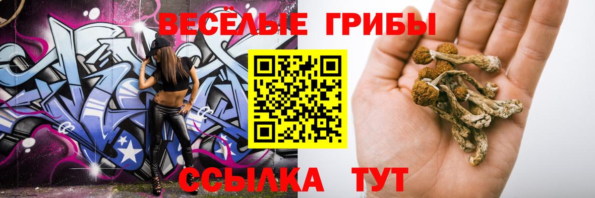 Белово  Псилоцибиновые грибы ЛСД  Вход с VPN 